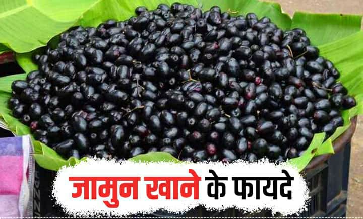 HEALTH UPDATE : सेहत रखनी है बुलंद तो स्ट्रांग बनाइए इम्यूनिटी पावर,डाइट में इन चीजों को करें शामिल…