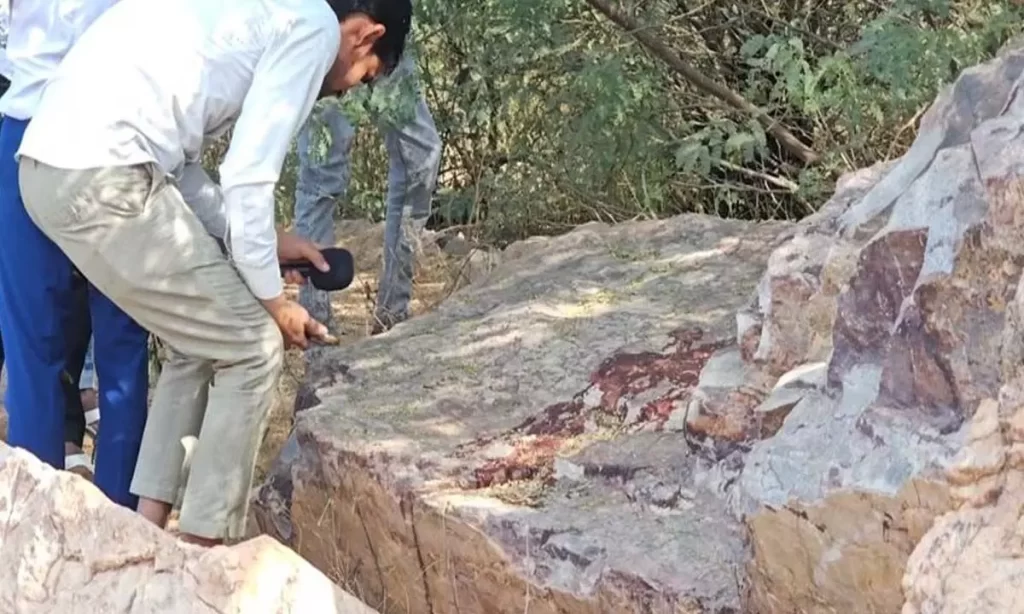 नूह में 4 साल की बच्ची के साथ बलात्कार, एक गिरफ्तार