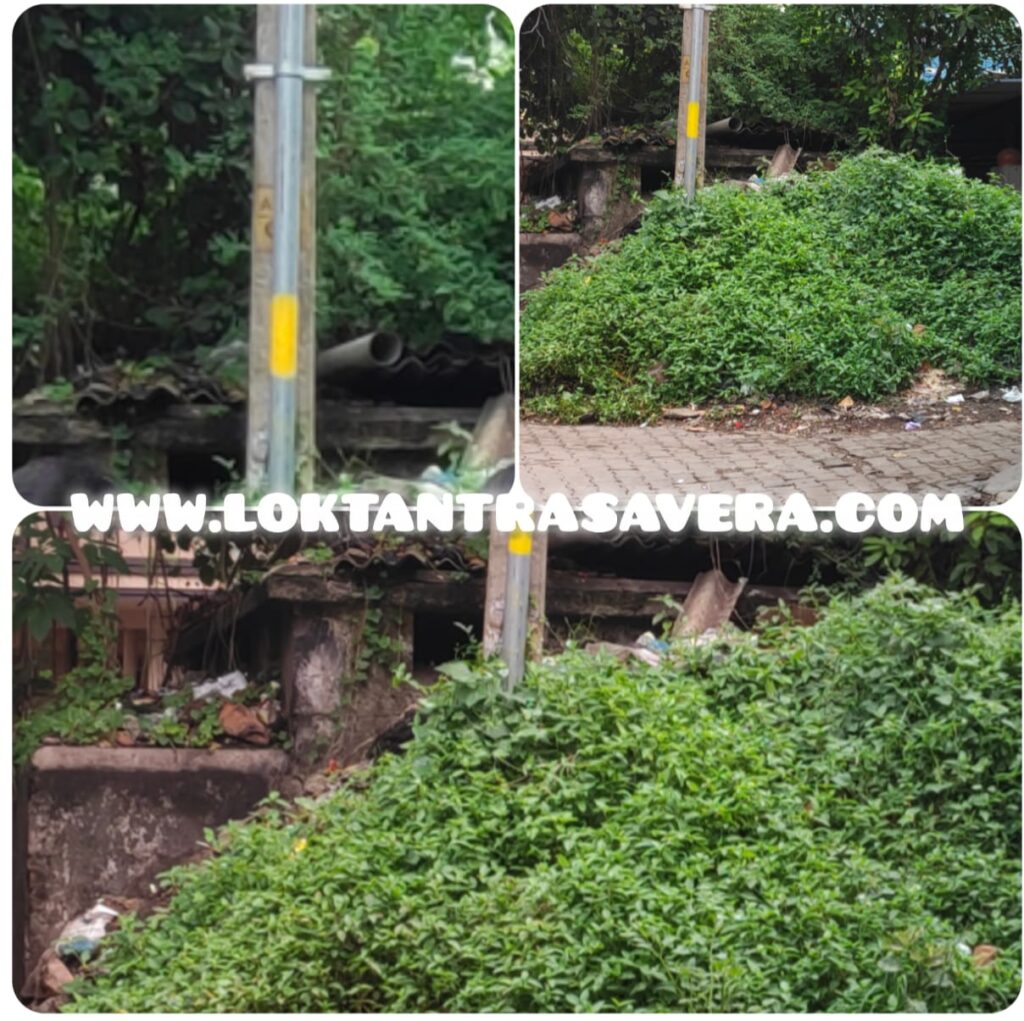 JAMSHEDPUR : वर्षों से बंद पड़ा सार्वजनिक शौचालय, कचड़े के अंबार से पूरी तरह ढका, कई लोग हो चुके हैं, डेंगू व मलेरिया का शिकार, इससे संबंधित विभाग कभी पलट कर भी नहीं देखते हैं, इस तरफ, पढ़े पूरी खबर