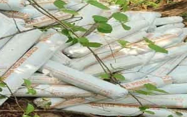 ओडिशा से लूट का विस्फोटक झारखंड से बरामद