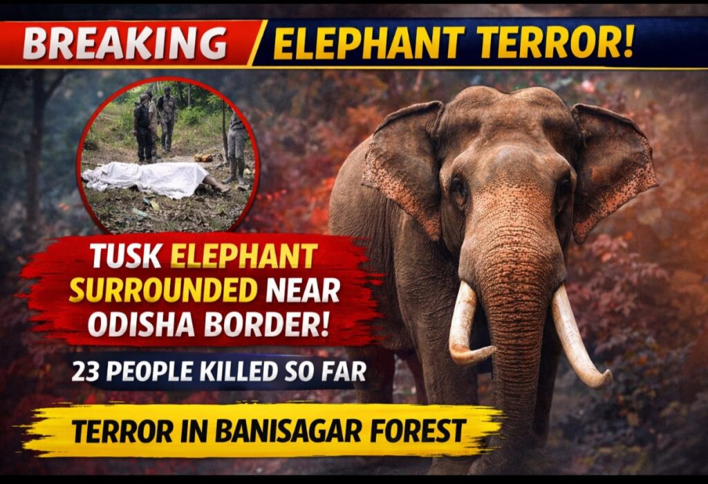 BREAKING : 20 लोगों की जान लेने वाला दंतेल हाथी ओडिशा बॉर्डर पर घिरा, बनीसागर जंगल में शुक्रवार को 3 और की मौत, दहशत का तांडव जारी