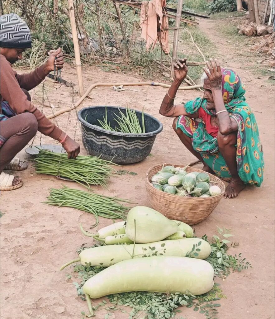 डुमरी विधायक जयराम महतो के घर की सादगी, भाई और बुजुर्ग दादी खुद बेच रहे खेत की सब्जी