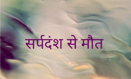 शादी से दो दिन पहले पहाड़ी चित्ती सांप के डसने से युवती की मौत