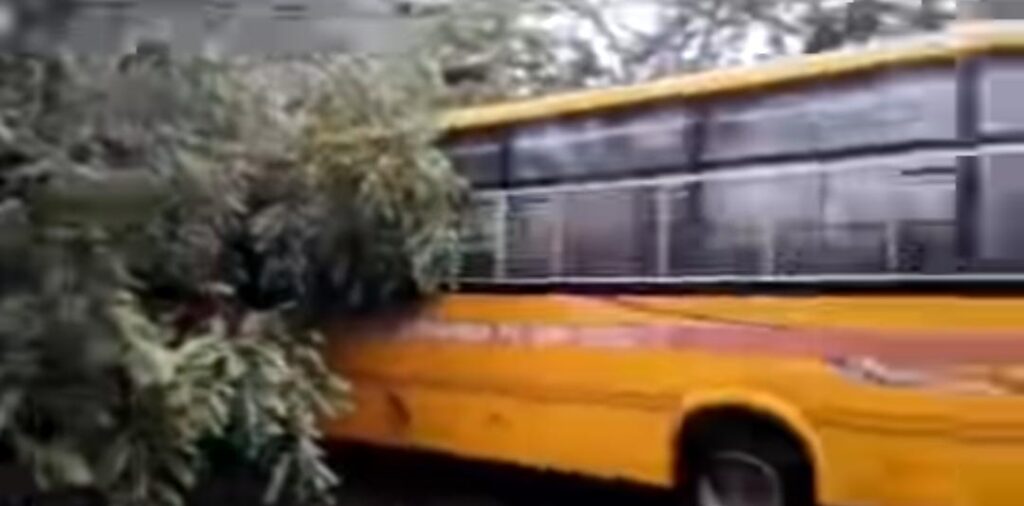 चलती स्कूल बस पर गिरा विशाल पेड़, बस में सवार थे करीब 40 बच्चे; सभी सुरक्षित