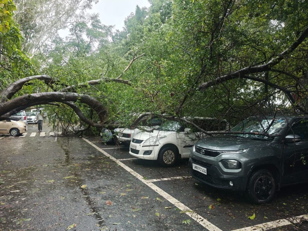 मूसलाधार बारिश के बीच प्रोजेक्ट भवन परिसर में गिरा विशाल पेड़, कई गाड़ियां क्षतिग्रस्त