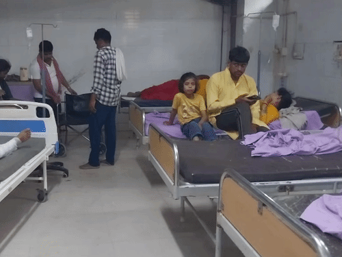 खाटू श्याम से वृंदावन जा रहे श्रद्धालुओं की पिकअप ट्रक में घुसी, 6 की मौत, 14 घायल