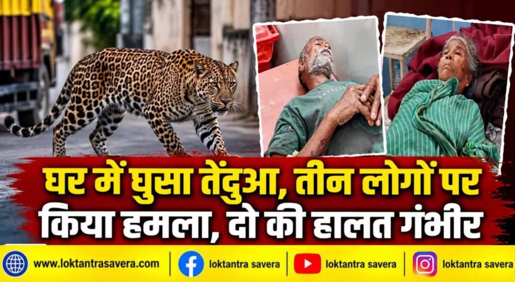 धमतरी में तेंदुए का आतंक, घर में घुसकर तीन लोगों पर किया हमला….. दो की हालत गंभीर, कारीपानी और बहीगांव में दहशत का माहौल